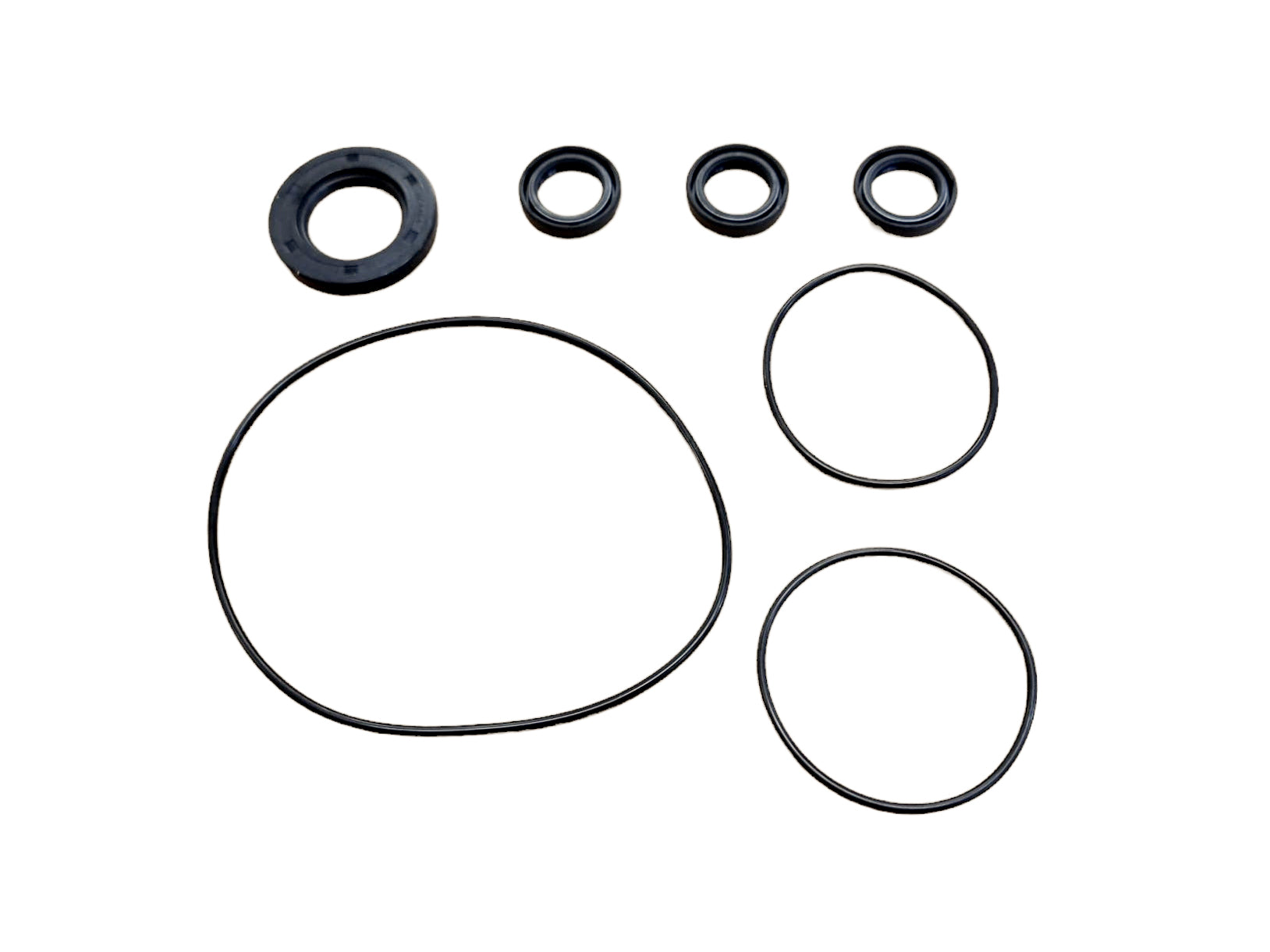 301076 Oil seal kit for Powerjet 350