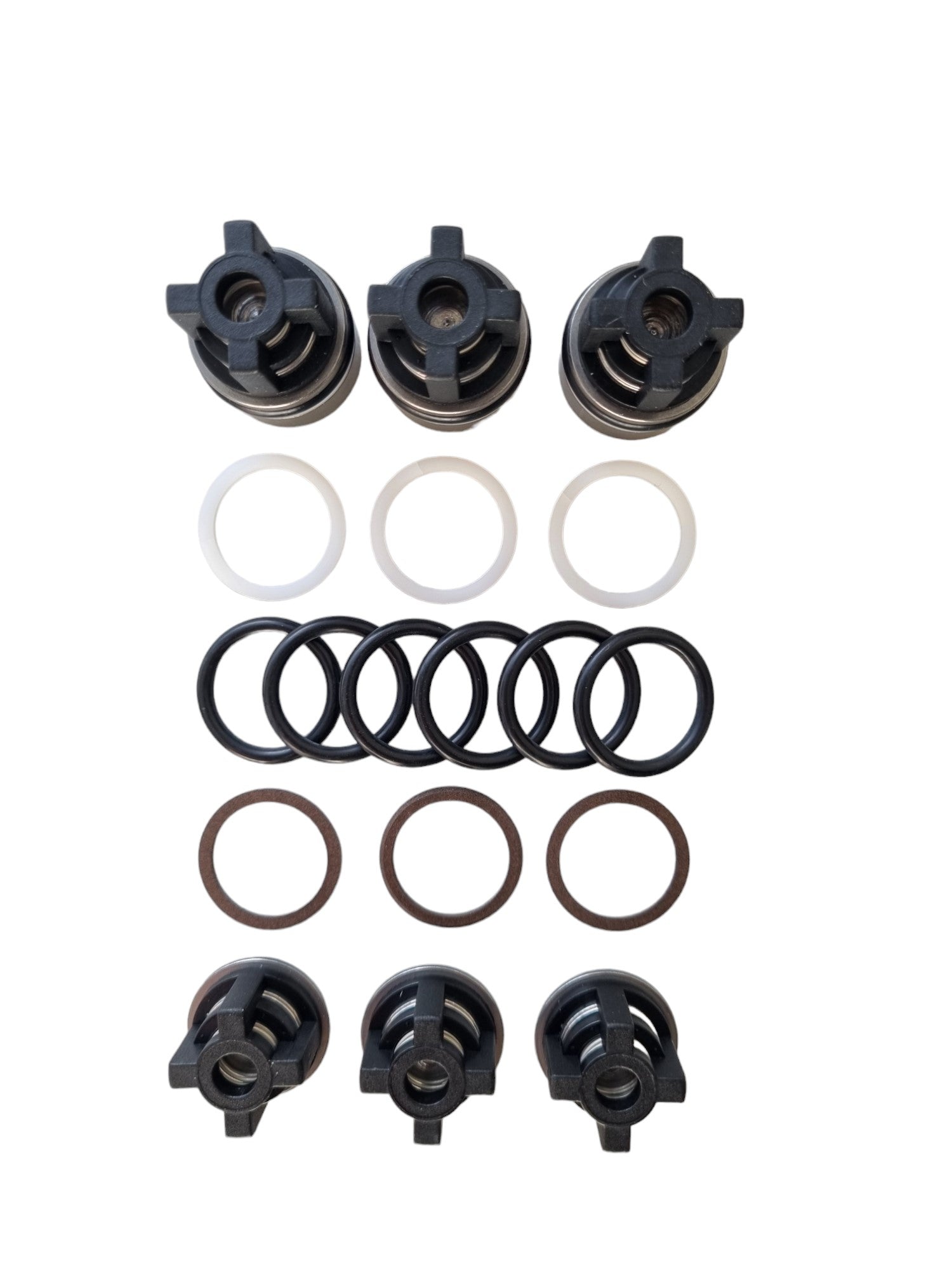 700505096 Den-Sin Valve Kit  (KIT 152)